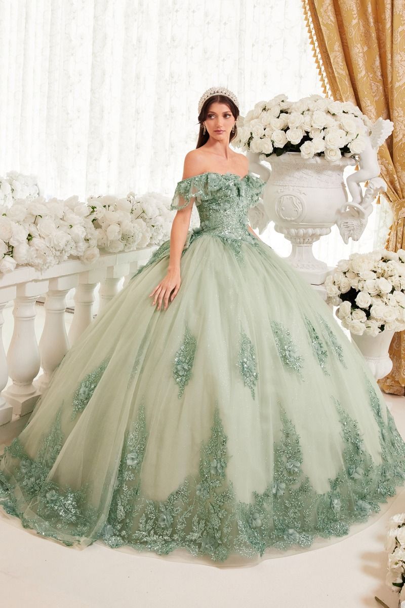 CELESTINA Off Shoulder Sequin Tulle Quinceañera Dress with floral applique, Brisbane to Gold Coast.
