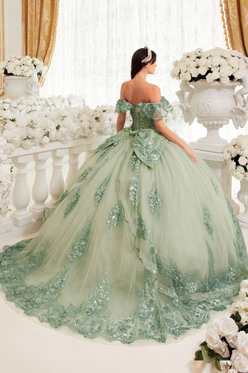 CELESTINA Off Shoulder Sequin Quinceañera Dress with floral appliques, princess gown. Brisbane to Gold Coast, Australia.