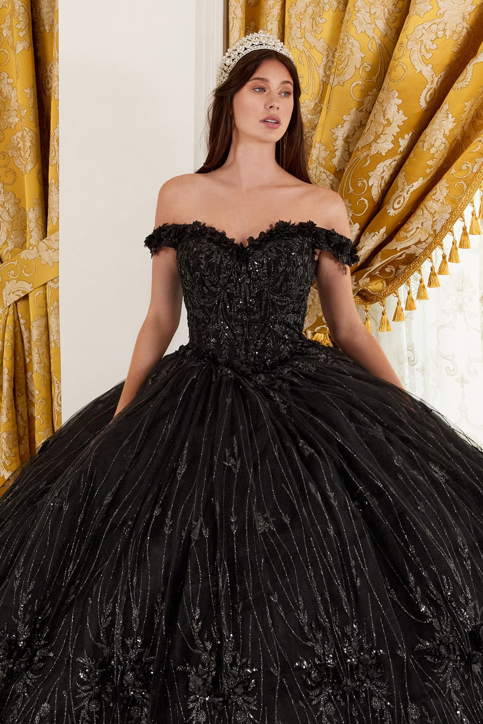 CLARALINA off-shoulder floral applique Quinceañera ball gown with sweetheart neckline and glitter tulle, Brisbane to Gold Coast.