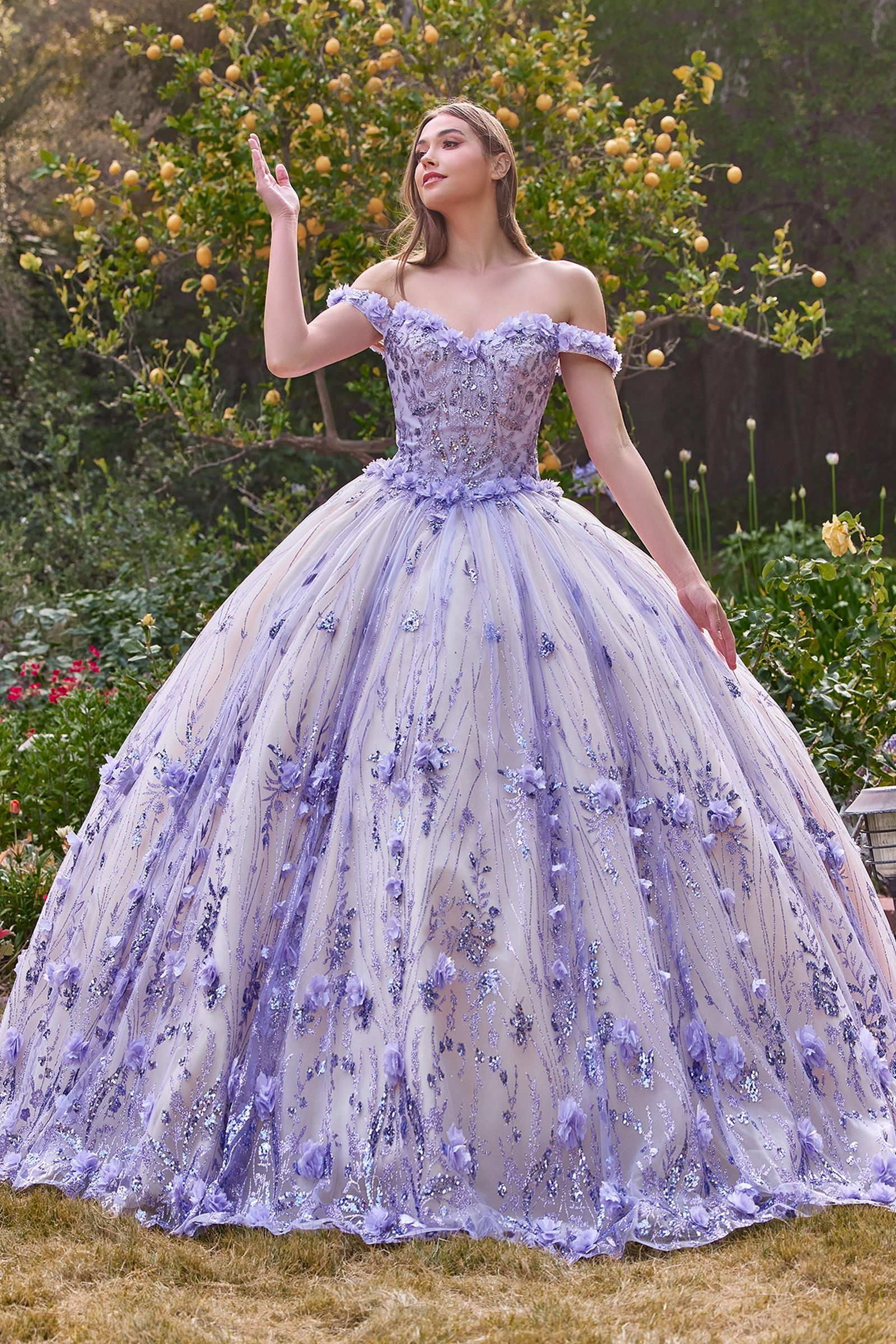 CLARALINA Off Shoulder Floral Applique Ball Gown, featuring a romantic sweetheart neckline and voluminous tulle skirt. Brisbane to Gold Coast.