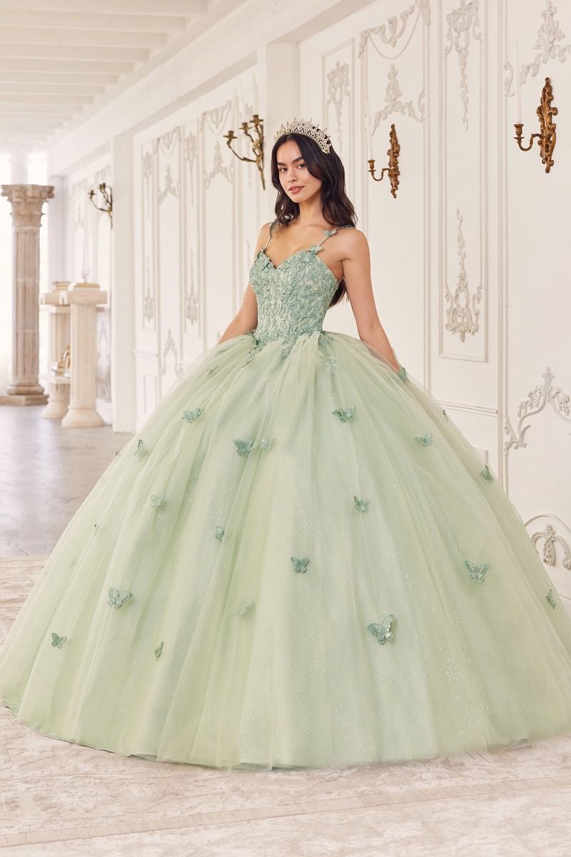 VIVIETTE Butterfly Bow Applique QUINCEAÑERA Ball Gown Dress with lace bodice and butterfly appliques, Brisbane to Gold Coast, Australia.