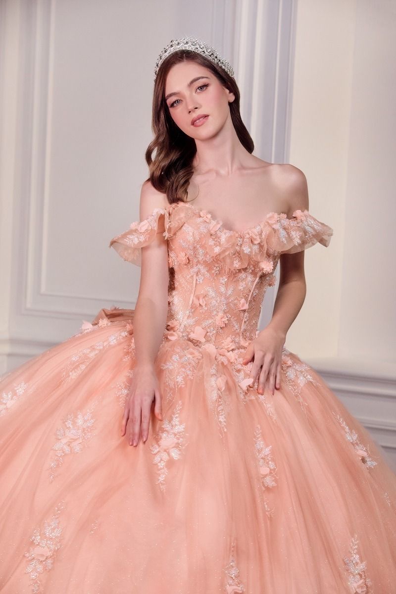 DARIN Off Shoulder Floral Applique Quinceañera Ball Gown Dress