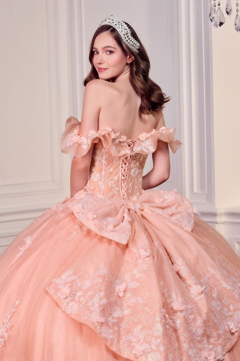 DARIN Off Shoulder Floral Applique Quinceañera Ball Gown Dress