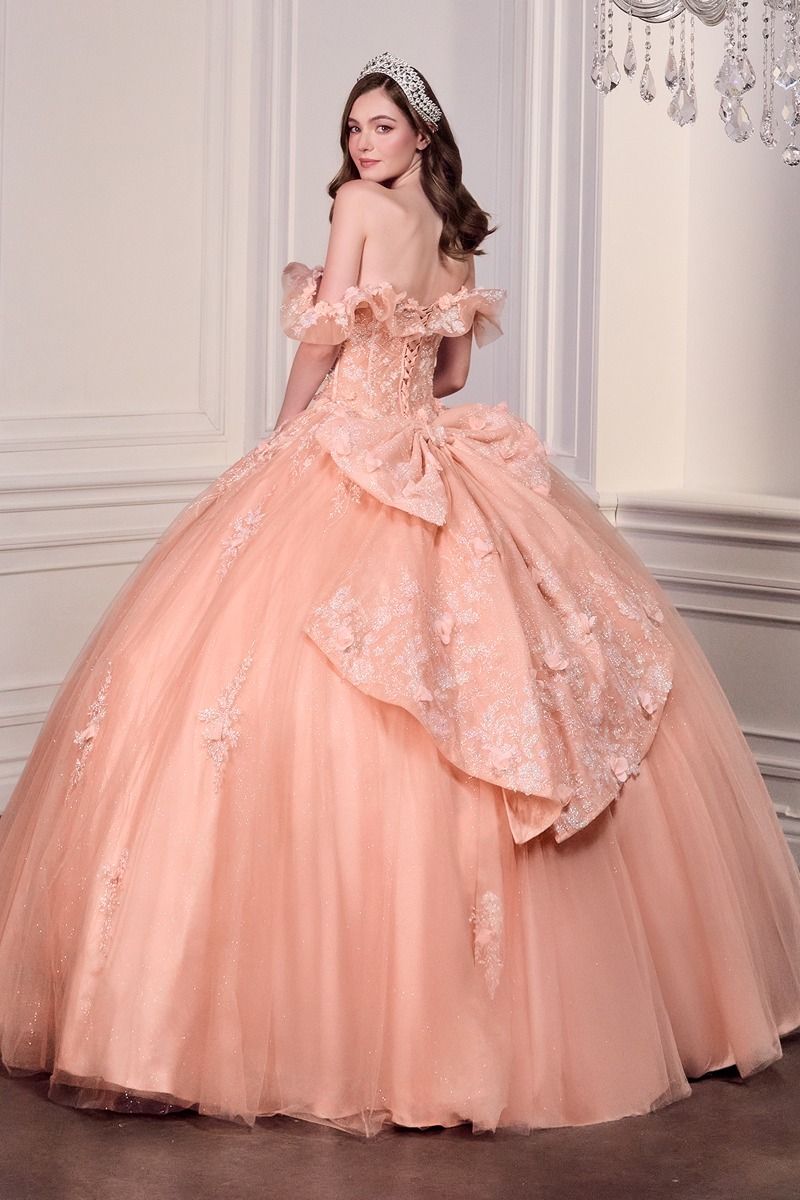 DARIN Off Shoulder Floral Applique Quinceañera Ball Gown Dress