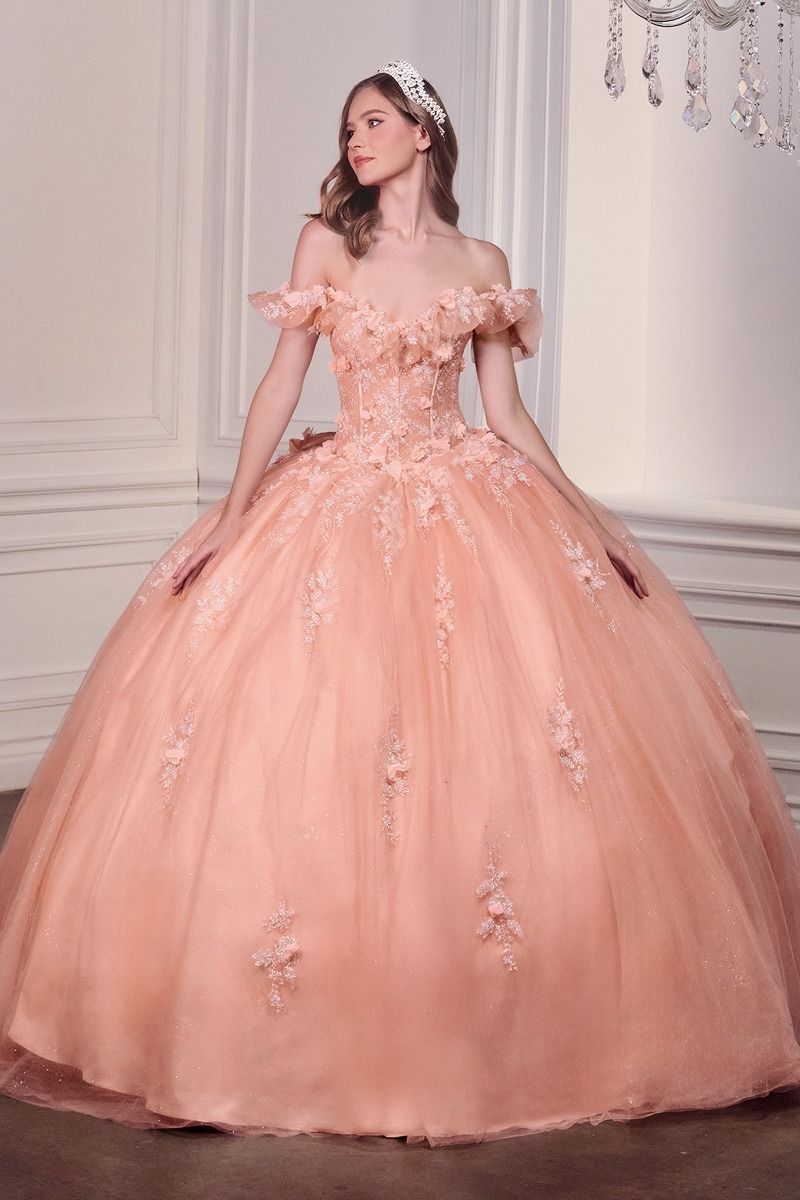 DARIN Off Shoulder Floral Applique Quinceañera Ball Gown Dress