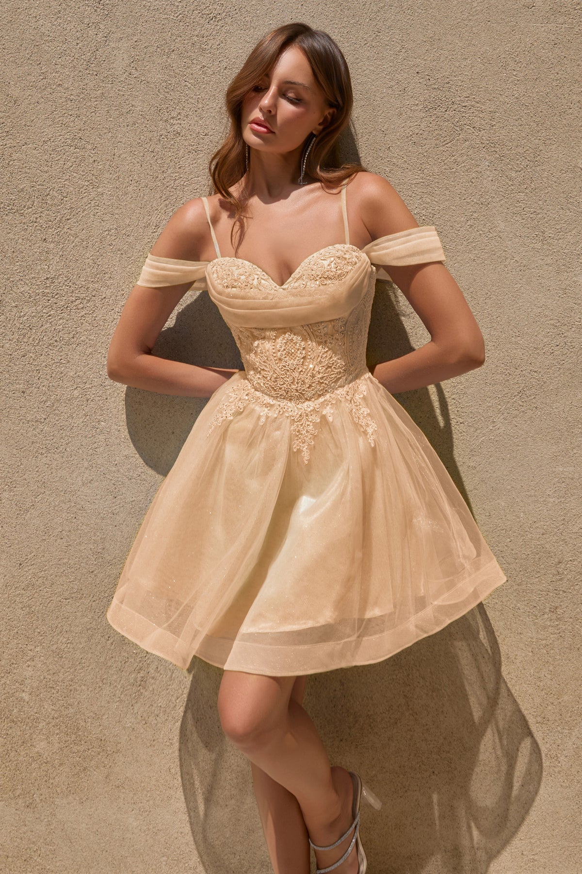 Valentino Lace Corset A-Line Mini Party Dress