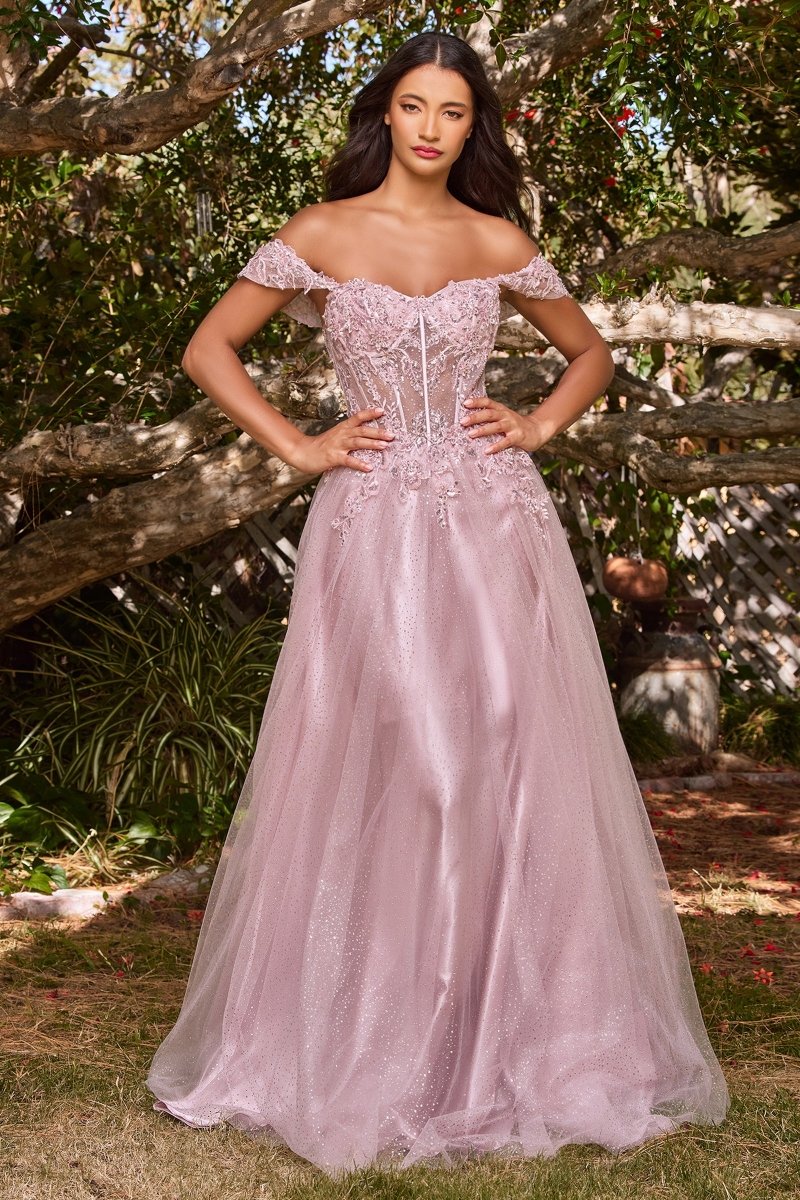 PHOEBE Off the Shoulder Bustier with lace applique, tulle prom gown, Brisbane to Gold Coast.