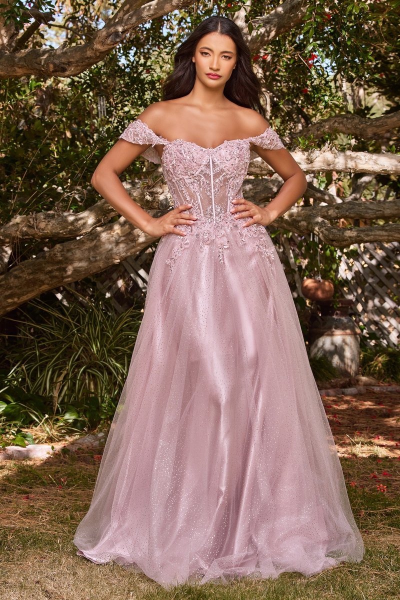PHOEBE Off the Shoulder Bustier Lace Applique Tulle Formal Dress in Australia | One Honey Boutique