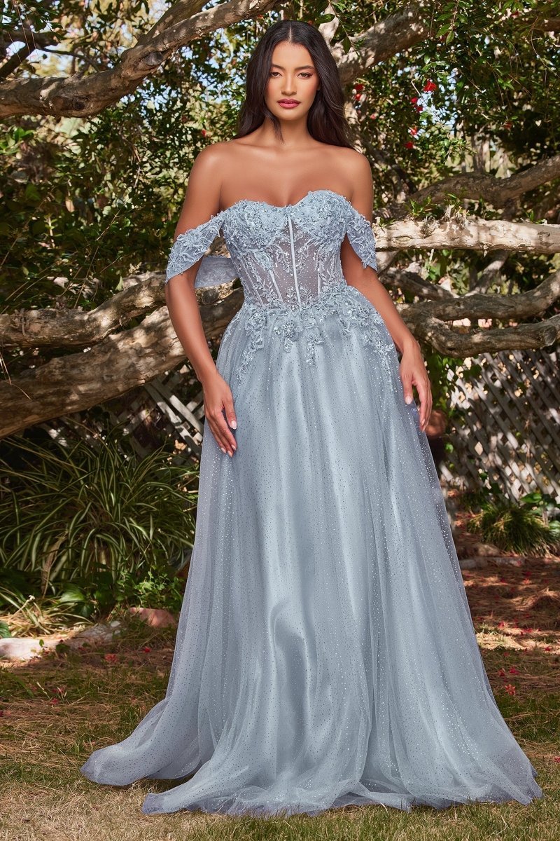 PHOEBE Off the Shoulder Bustier Lace Applique Tulle Formal Dress in Australia | One Honey Boutique