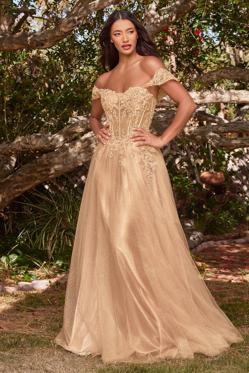 PHOEBE off the shoulder bustier lace applique formal dress with glitter tulle skirt, evening gown in Brisbane to Gold Coast.