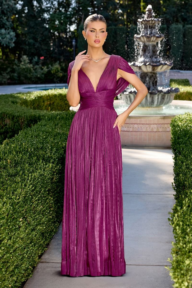 ELARAA Draped Chiffon A-Line Bridesmaid & Formal Dress