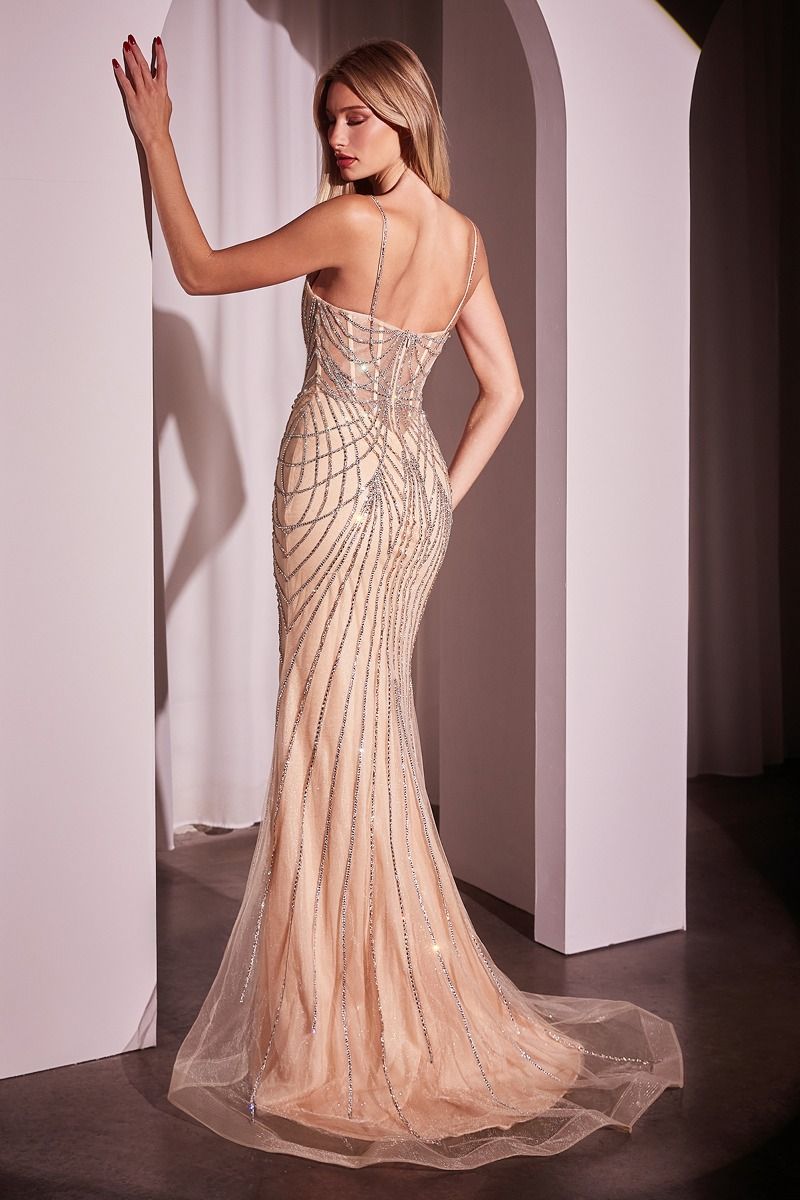 CELINE Couture pearl beaded fitted evening gown with sheer linear bodice and fit-and-flare silhouette, Brisbane to Gold Coast.