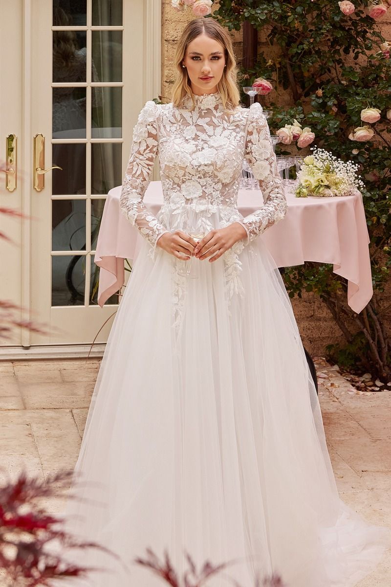 Divinity Bridal ELIZABETH high neckline floral applique long sleeve ball gown wedding dress, affordable bridal elegance.