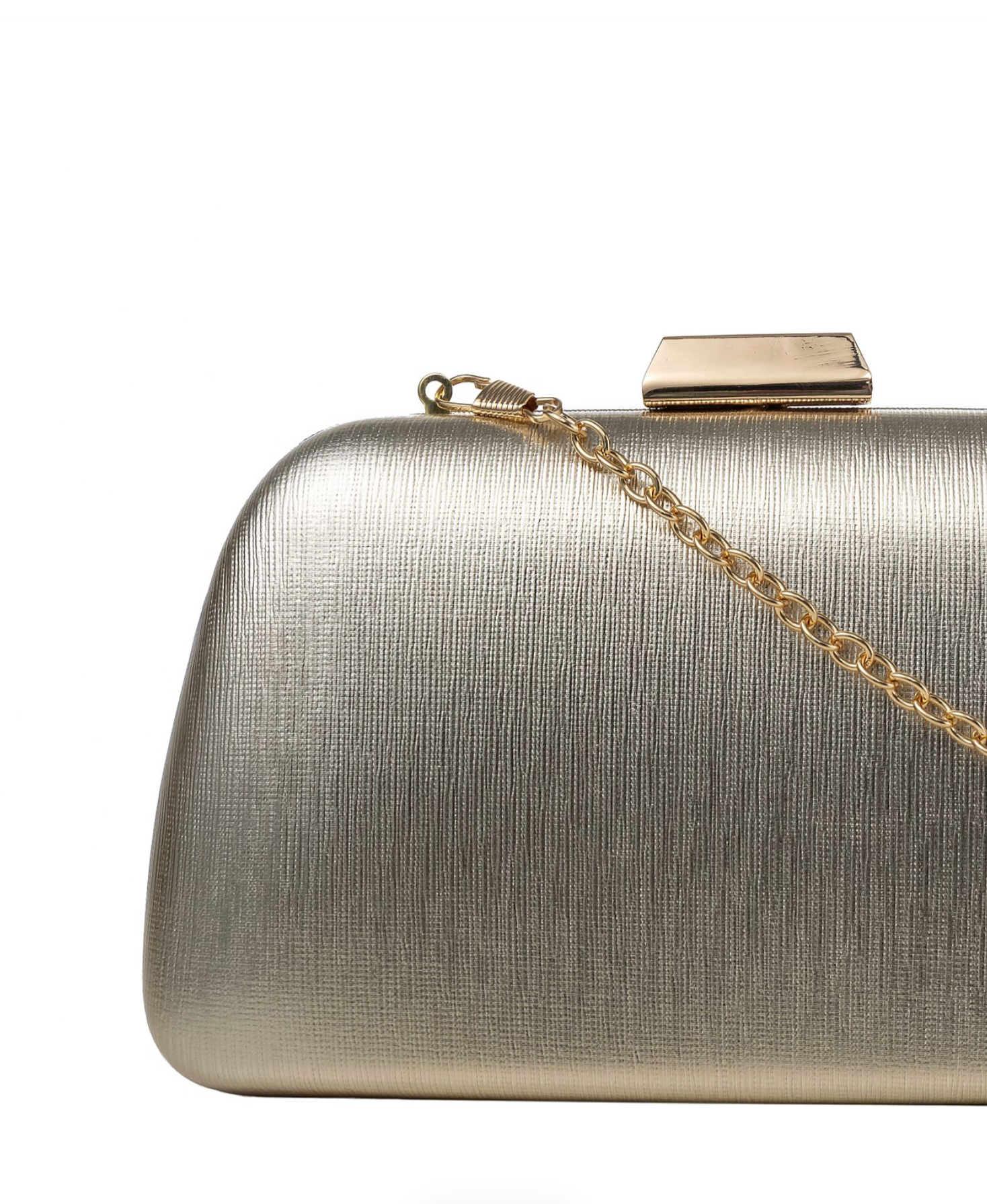 Gregory Ladner GBGY001D Shiny Clutch Bag