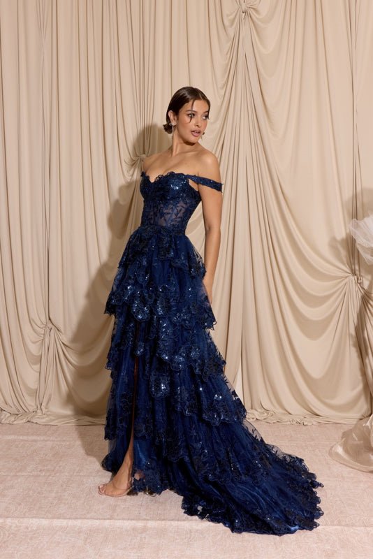 TASHA Off Shoulder Sheer Bodice Tulle Lace Prom & Formal Dress in Australia | One Honey Boutique