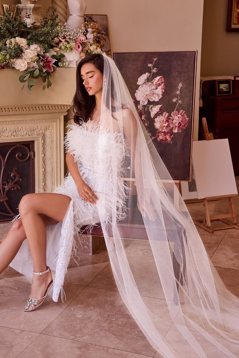 FLORENCE Cathedral Length Off White Sparkling Tulle Bridal Veil with wedding dress. Affordable bridal elegance from Divinity Bridal.