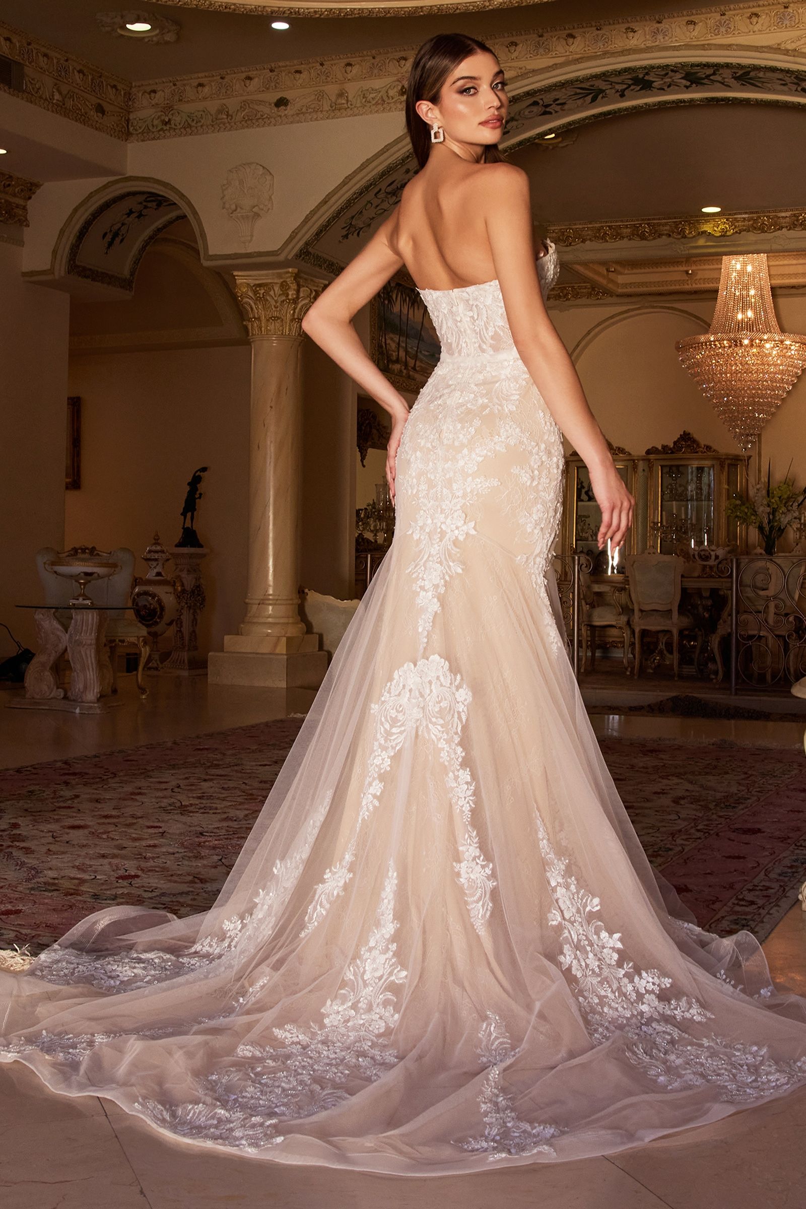 Divinity Bridal ELARA lace mermaid gown, affordable strapless wedding dress with sweetheart neckline and removable sleeves.