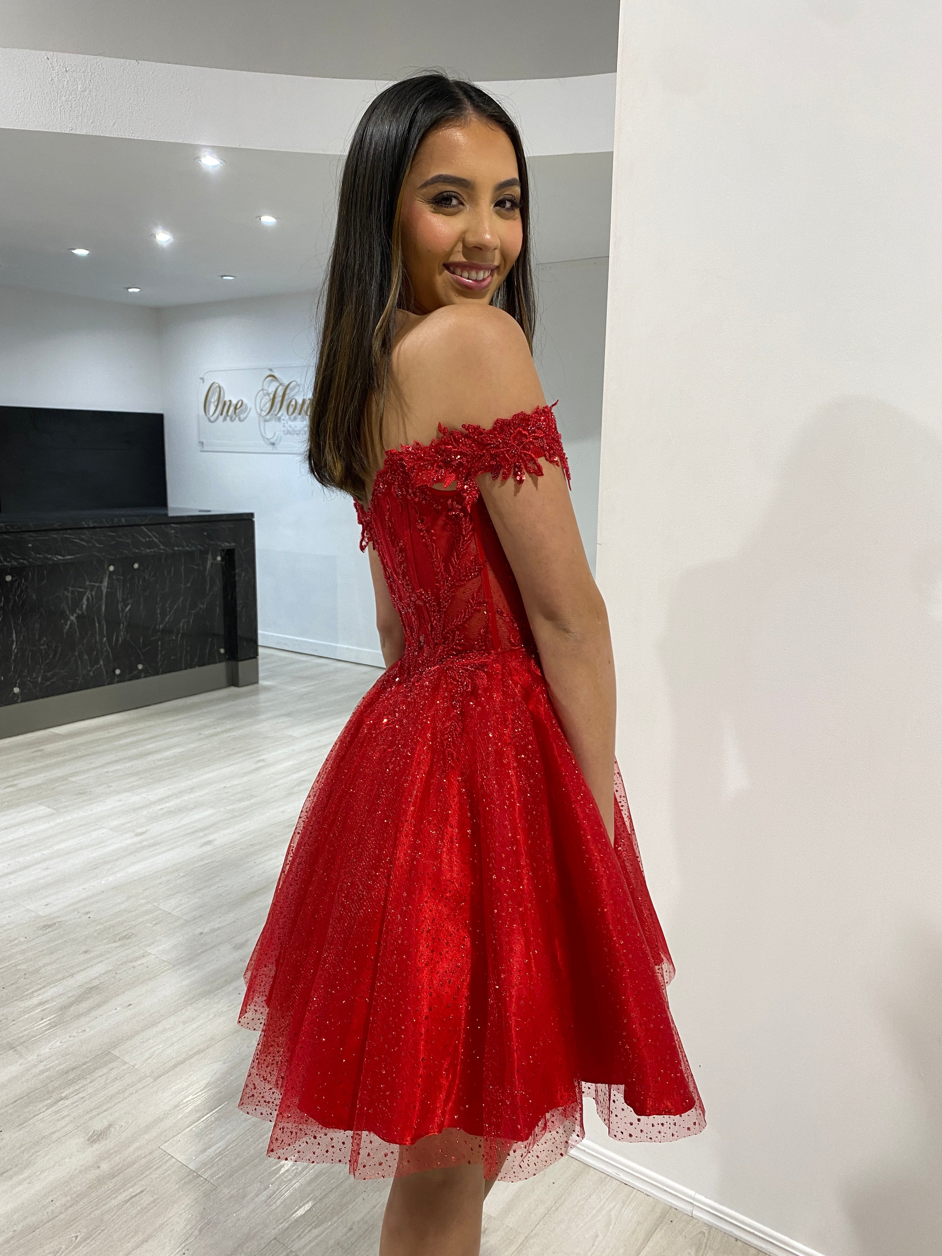 NICOLETTE beaded tulle frilly party dress with off-shoulder design, perfect for special events. Brisbane to Gold Coast, Australia.