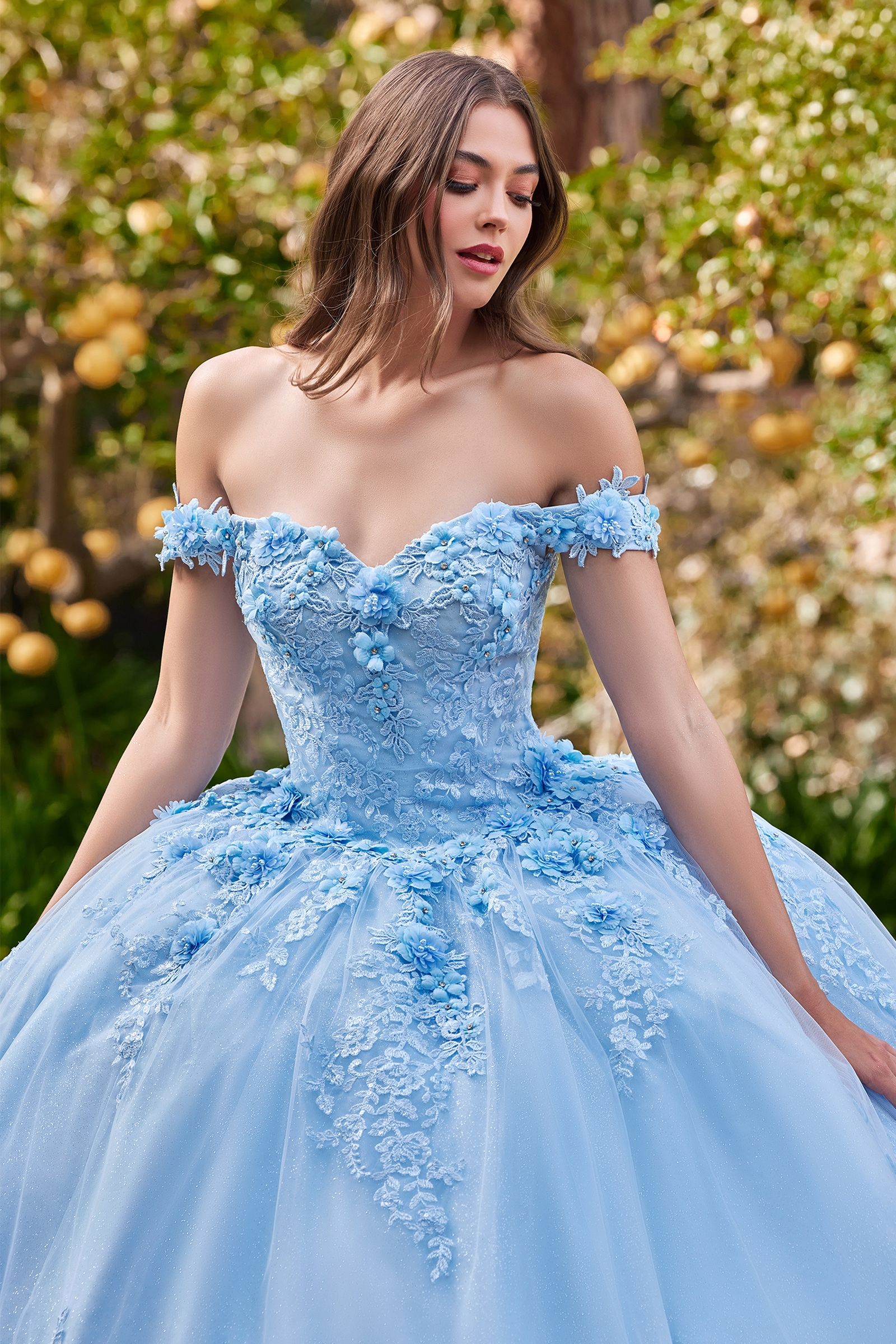 CATALISSE Floral Glitter Quinceañera Dress with lace bodice and tulle skirt. Perfect for magical events. Brisbane to Gold Coast.