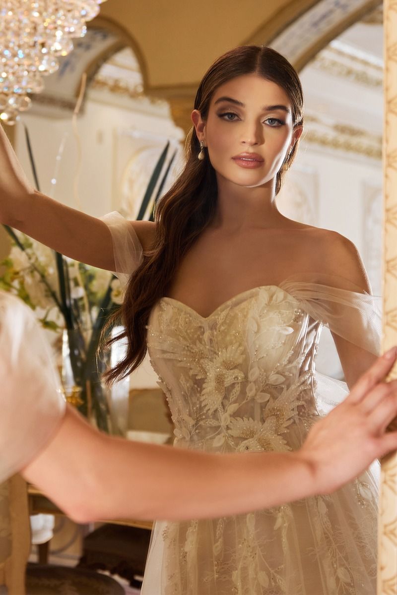 Divinity Bridal FIORA Off Shoulder Tulle Glass Bird Beaded Tulle Wedding Dress