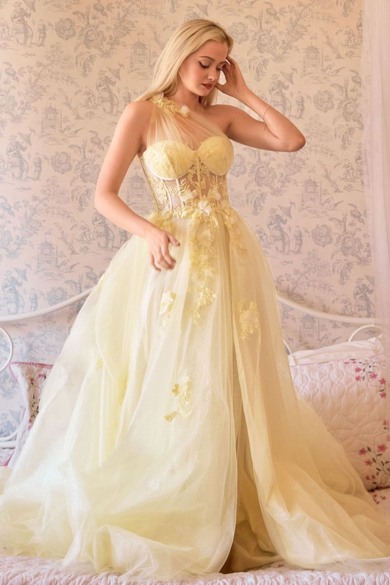 LUCIA Sheer One Shoulder Bustier Corset Tulle Formal Gown
