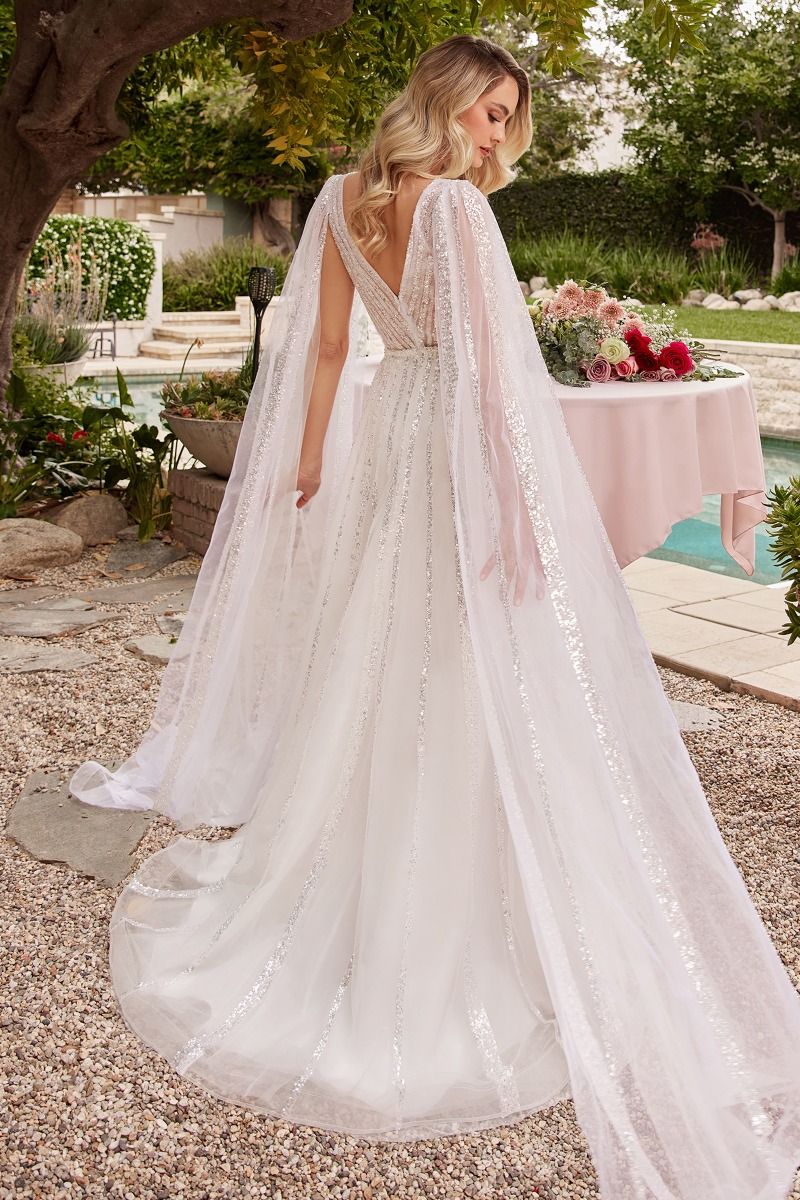 Divinity Bridal GISELLE Sheer Sequin Glitter Sheer Sleeve A Line Wedding Dress