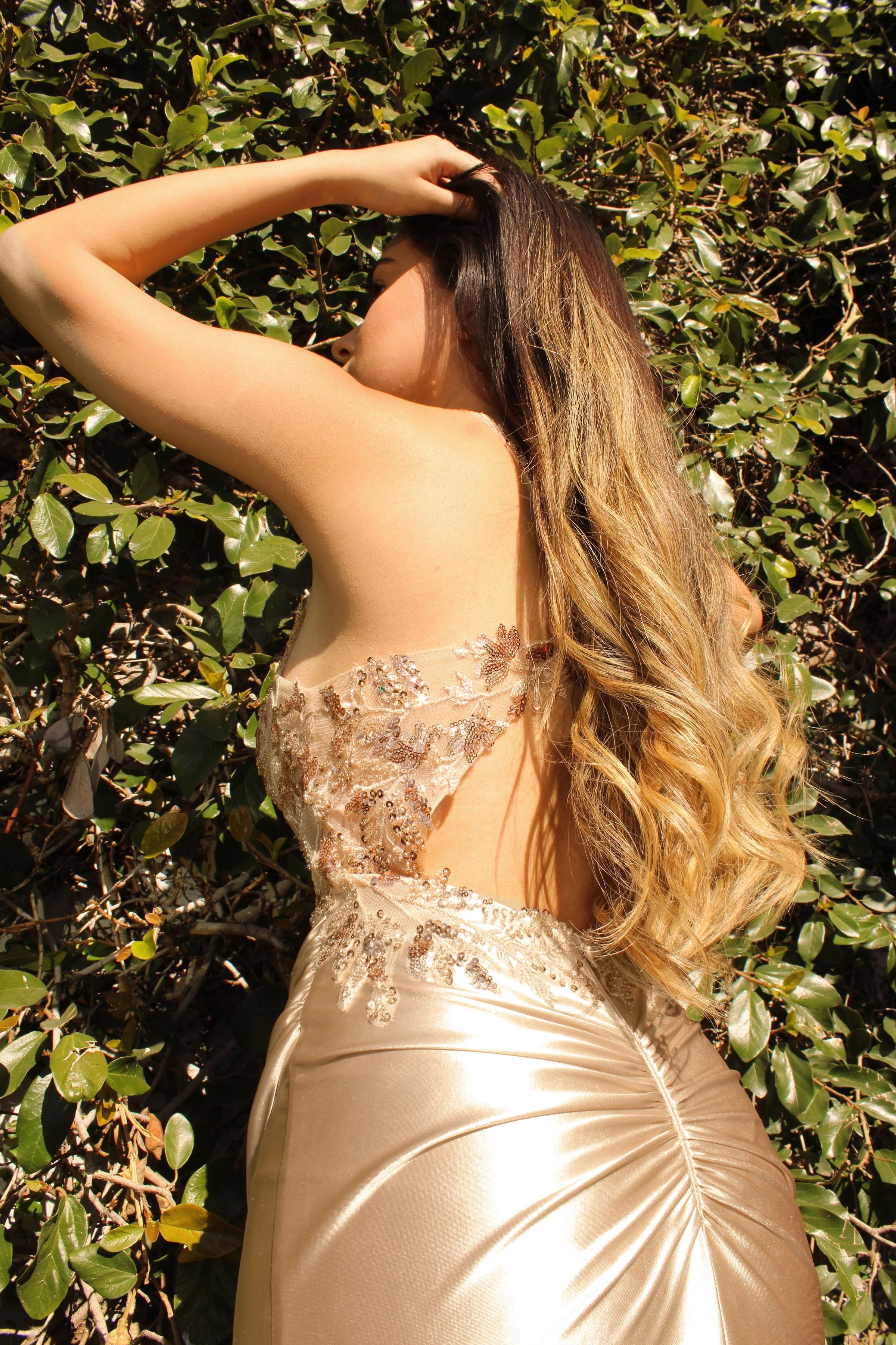 SALMA Embellished Bustier Corset Satin Mermaid Formal Dress